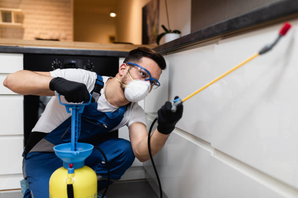 Best Pest Removal Services  in Brownstown, IN