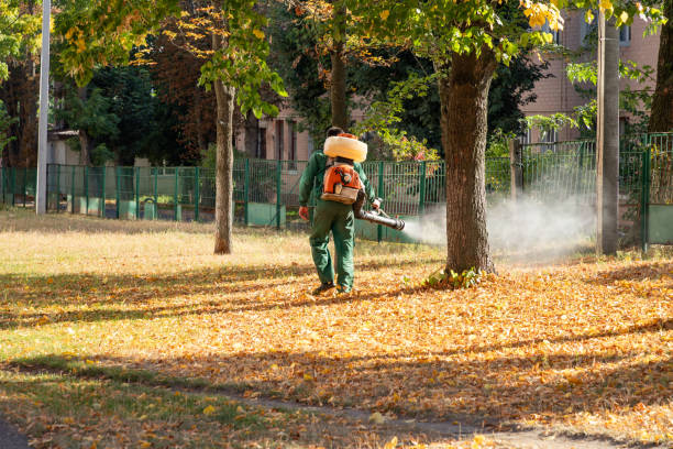 Best Rat Extermination Near Me  in Brownstown, IN