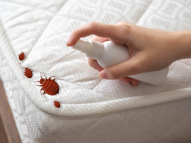 Best Pest Prevention Services  in Brownstown, IN