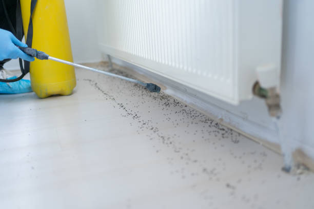 Best Emergency Pest Control  in Brownstown, IN