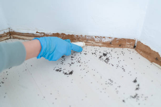 Best Pest Inspection Near Me  in Brownstown, IN