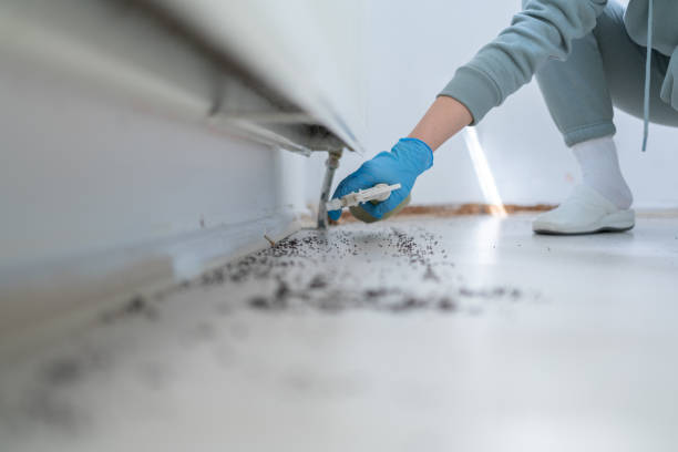 Best Ant Control Services  in Brownstown, IN