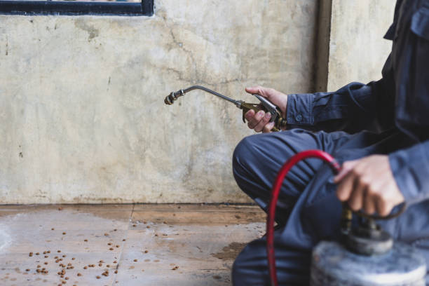 Best Exterminator Services  in Brownstown, IN